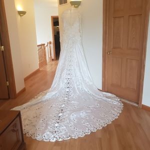 Very beautiful elegant sequence  lace with   Veil